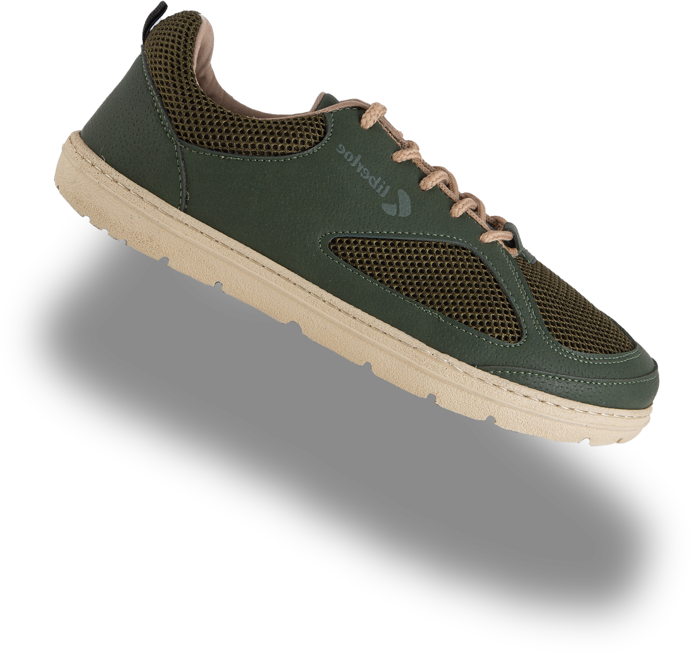 shoe1